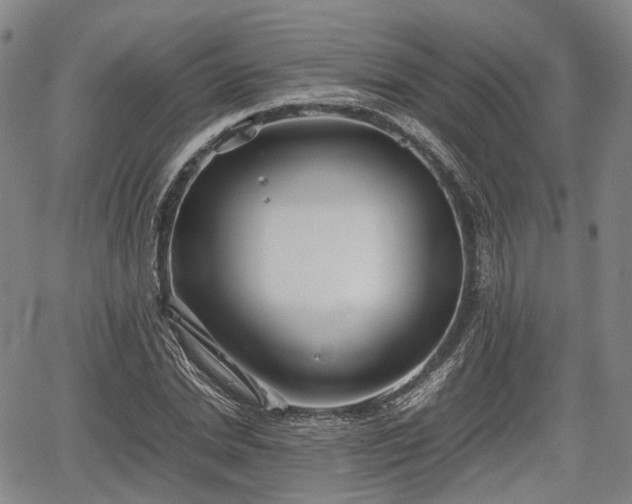 X0000067500830200604101228