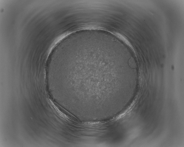 X0000067500831200604101228