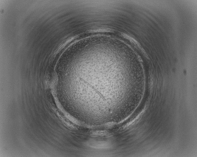 X0000067500833200604101228