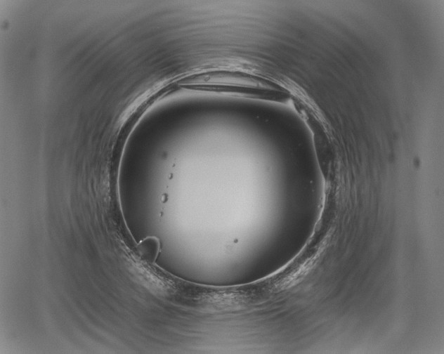 X0000067500834200604101228