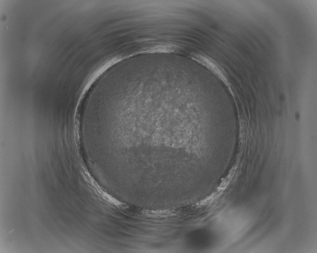 X0000067500835200604101228