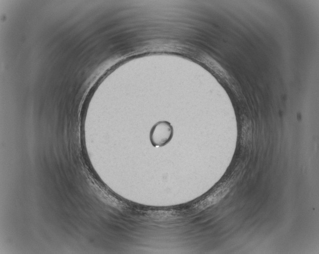 X0000067500836200604101228