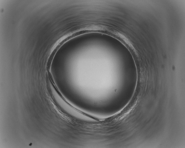 X0000067500837200604101228