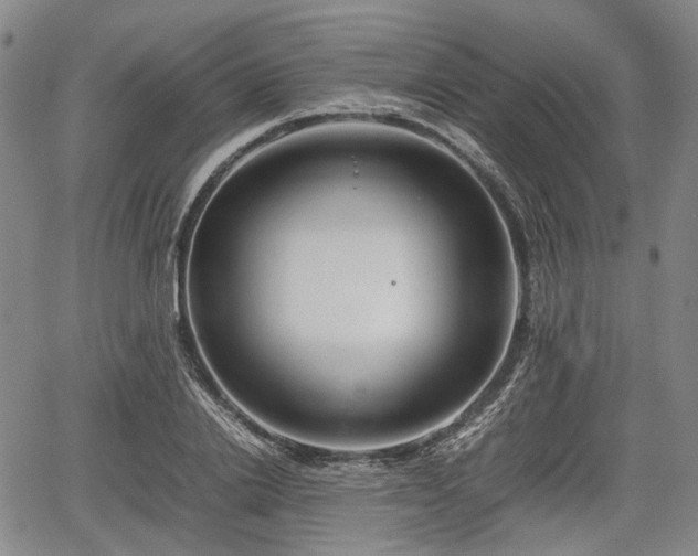 X0000067500838200604101228