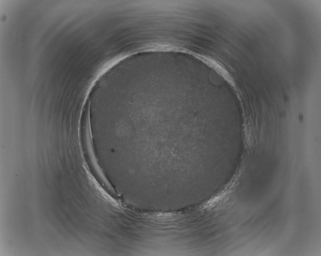 X0000067500839200604101228