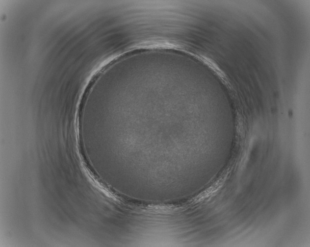 X0000067500840200604101228