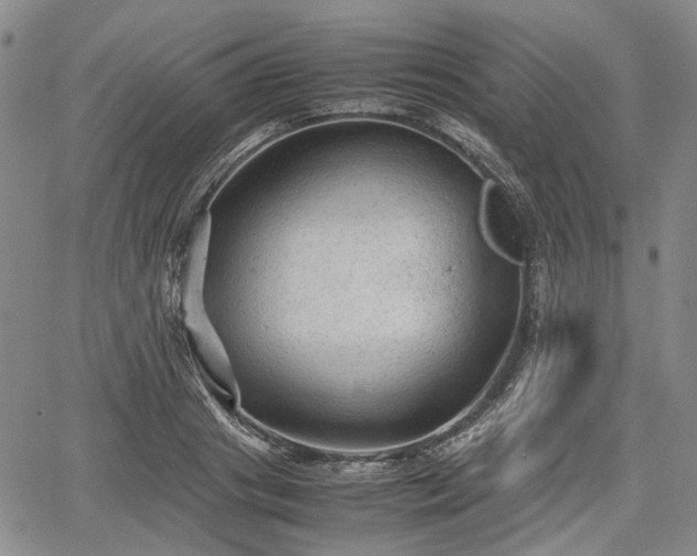 X0000067500841200604101228