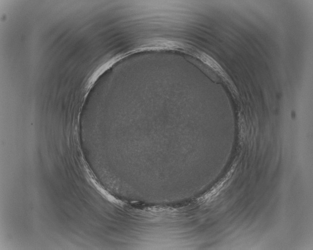 X0000067500842200604101228