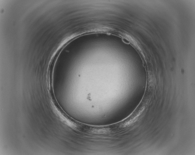 X0000067500843200604101228