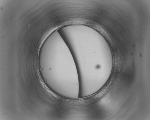 X0000067500844200604101228