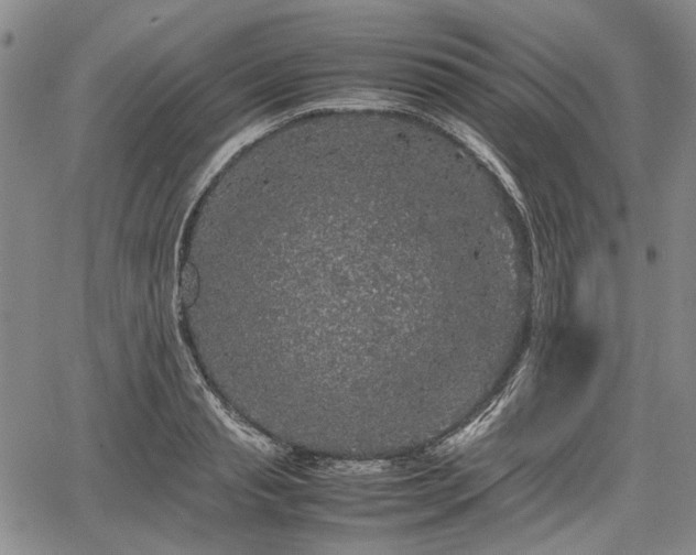 X0000067500845200604101228