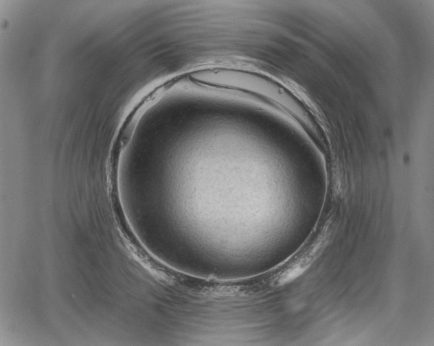 X0000067500846200604101228