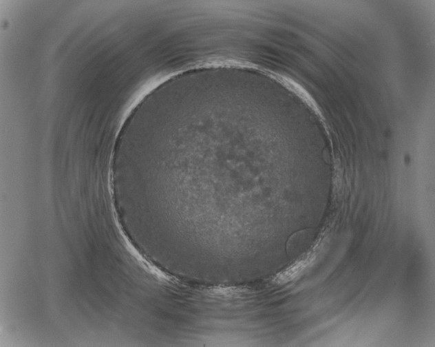 X0000067500847200604101228