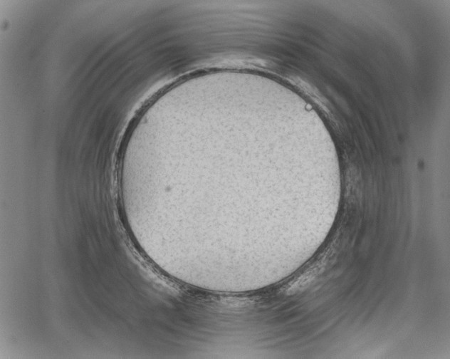 X0000067500848200604101229