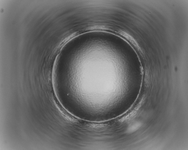 X0000067500849200604101229