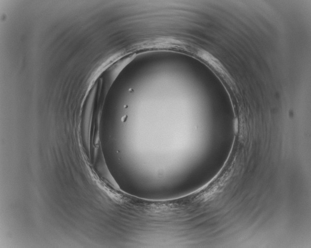 X0000067500850200604101229