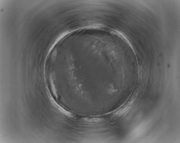 X0000067500851200604101229