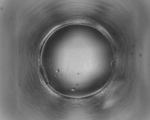 X0000067500852200604101229