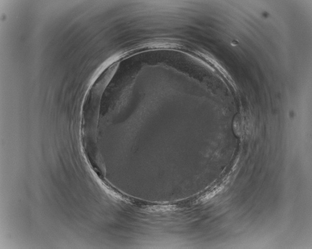 X0000067500853200604101229