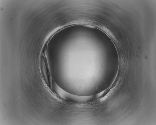 X0000067500854200604101229