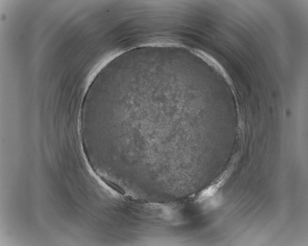 X0000067500855200604101229