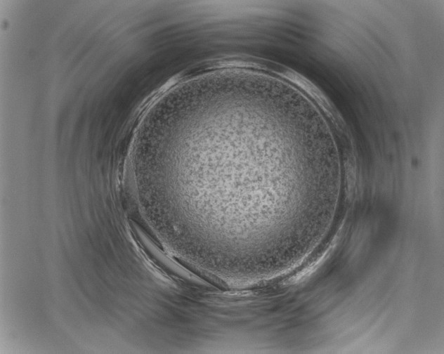 X0000067500857200604101229