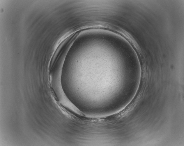 X0000067500858200604101229