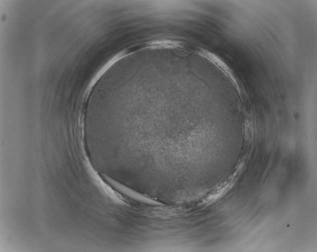 X0000067500859200604101229