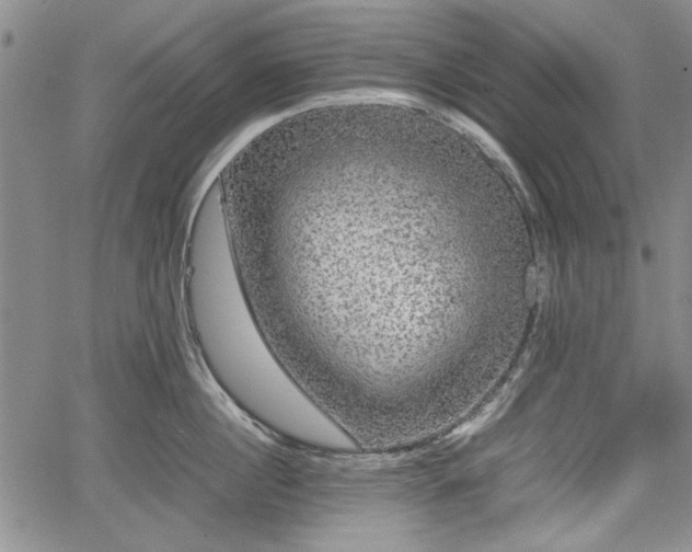 X0000067500860200604101229