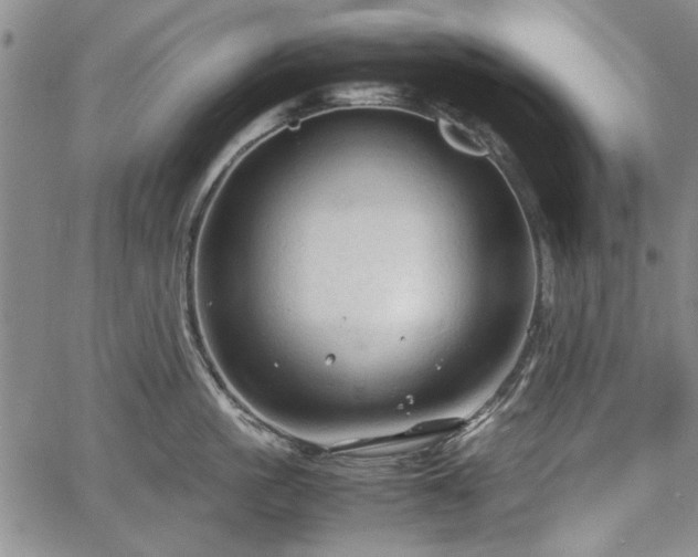 X0000067500861200604101229