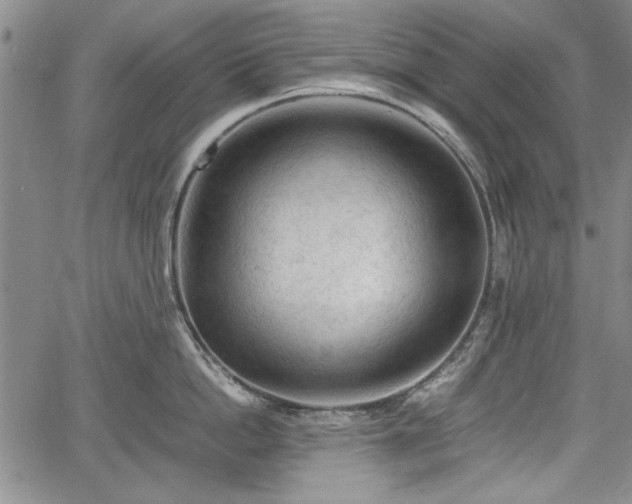 X0000067500862200604101229