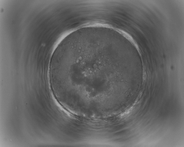 X0000067500863200604101229