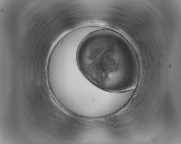 X0000067500864200604101229