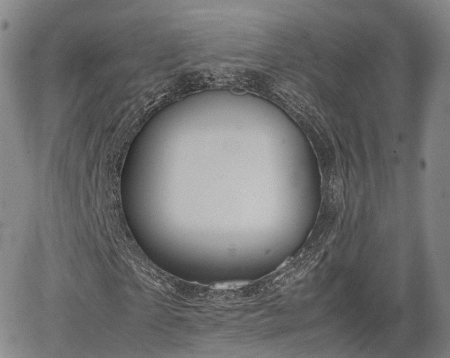 X0000067500865200604101228