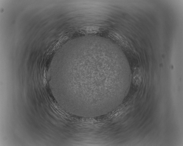 X0000067500866200604101228