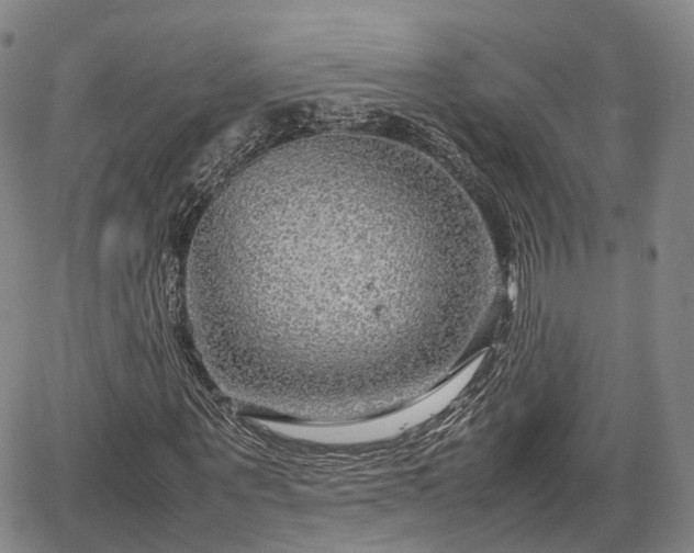 X0000067500867200604101228