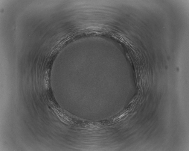 X0000067500868200604101228