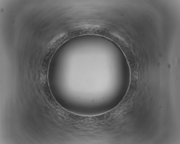 X0000067500869200604101228