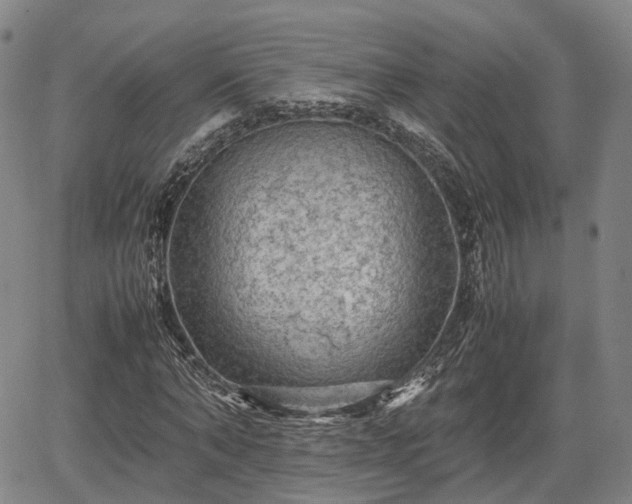 X0000067500870200604101228