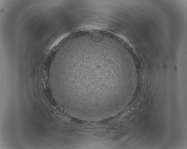 X0000067500871200604101228