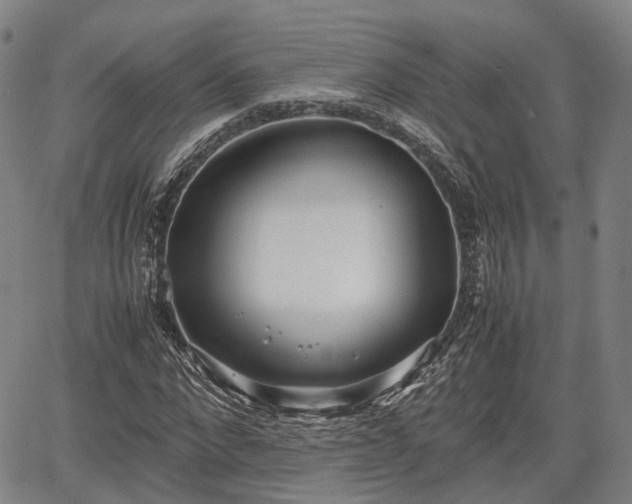 X0000067500872200604101228