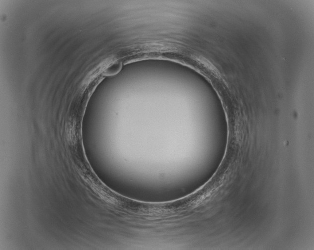 X0000067500873200604101228