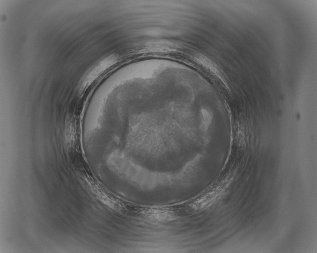 X0000067500874200604101228