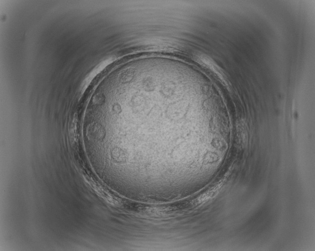 X0000067500875200604101228