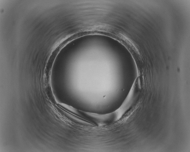 X0000067500876200604101228