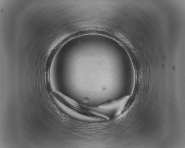 X0000067500877200604101228