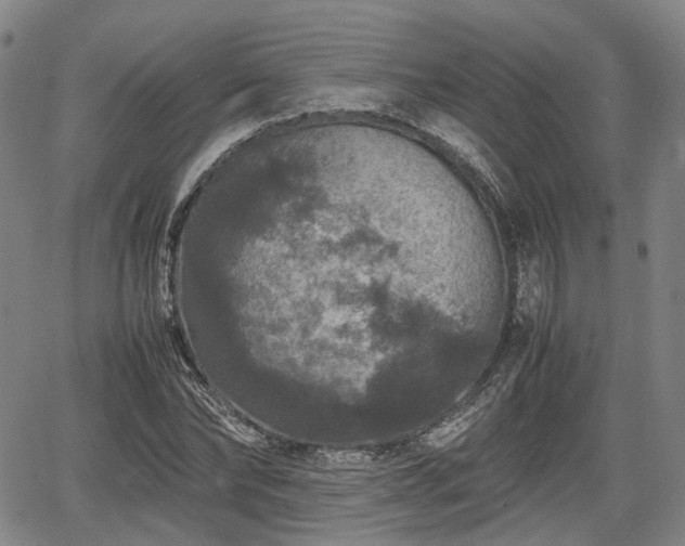 X0000067500878200604101228