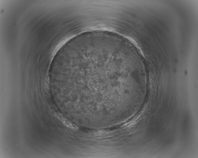 X0000067500879200604101228