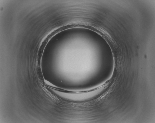 X0000067500880200604101228