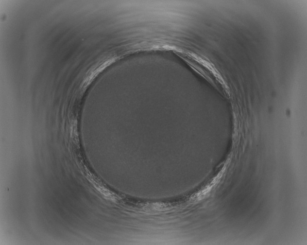 X0000067500881200604101228